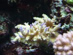 DSC03866.JPG