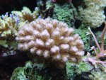 DSC03867.JPG