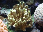DSC03870.JPG