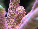 RSCN8849.jpg