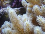 zeeaquaria 460.jpg