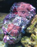 PICT1645.JPG