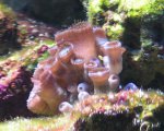 PICT1644.JPG