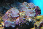 PICT1650.JPG