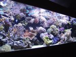 zeeaquaria 534.jpg
