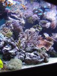 zeeaquaria 535.jpg