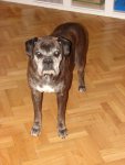 DSC00161.JPG