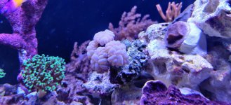 IMG_20211019_113020.jpg