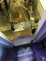 IMG_9741.JPG
