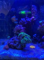 IMG_9634.jpg