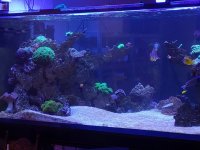 IMG_20211022_165248.jpg