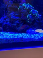 IMG_9833.jpg