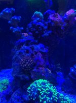 IMG_9742.jpg