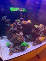 IMG_9814.jpg