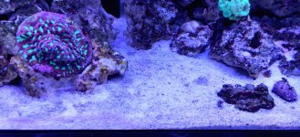 IMG_20211106_110109.jpg
