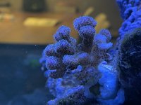 IMG_4395.jpg IMG_4395.jpg