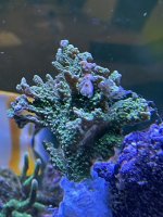 IMG_4397.jpg IMG_4397.jpg