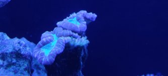 IMG_20211115_104318.jpg