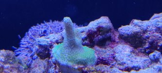 IMG_20211115_104055.jpg