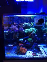 IMG_9815.JPG