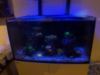 IMG_0067.jpg