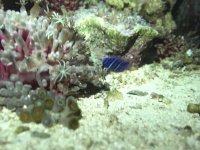 61D60347-EABC-4D6C-A27B-45FEDC903405.jpeg