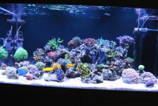 DSC_0018.JPG