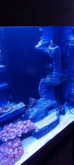20211203_160758.jpg