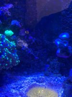 IMG_0203.jpg