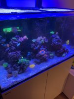 IMG_0176.jpg