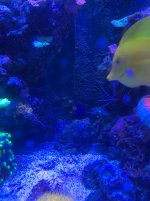 IMG_0158.jpg