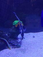 IMG_20211211_191012.jpg