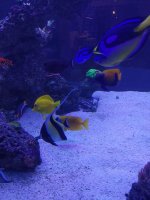 IMG_20211211_190959.jpg
