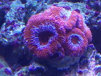 IMG_20211211_190555.jpg