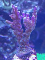 IMG_20211211_190459.jpg