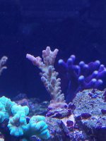 IMG_20211211_190312.jpg
