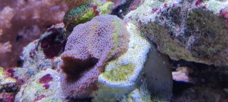 IMG_20211219_124956.jpg