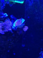 IMG_0966.jpg