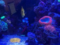IMG_0996.jpg