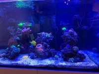 IMG_0992.jpg