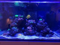 IMG_0972.jpg