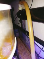 IMG20211224102735.jpg