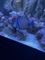 89CF3225-46DF-4A53-BC8F-AB2900CFBBA5.jpeg