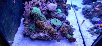 IMG_20211229_110256.jpg