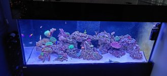 IMG_20211229_110240.jpg