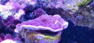 IMG_20220107_115119.jpg