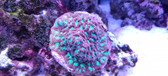 IMG_20220107_115056.jpg