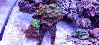 IMG_20220107_115001.jpg