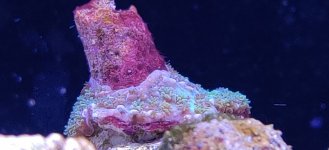 IMG_20220107_114825.jpg