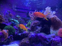 4D37580A-4402-4140-92D4-EFCAB8738D85.jpeg